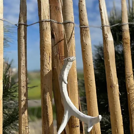 Chalet De Duinweg: Direct Aan Duin En Bos *