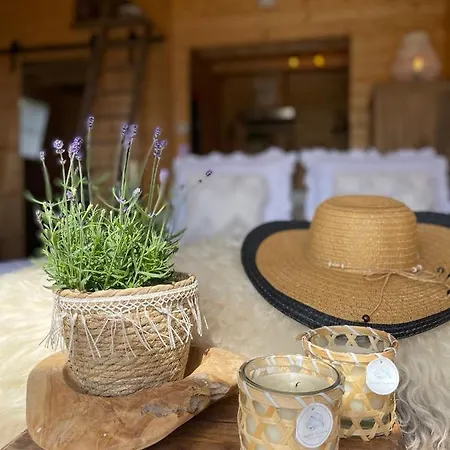 De Duinweg: Direct Aan Duin En Bos * 诺德韦克