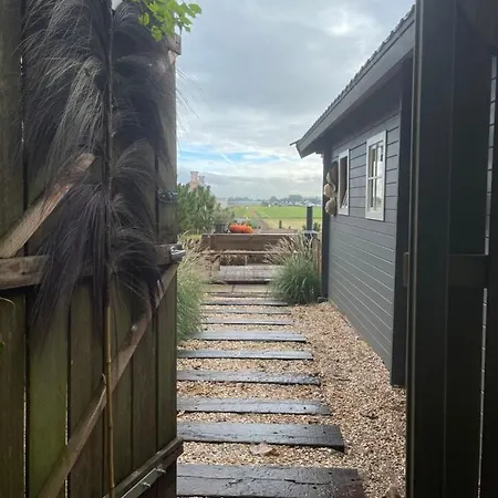 De Duinweg: Direct Aan Duin En Bos *