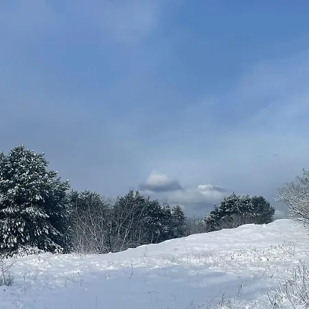 De Duinweg: Direct Aan Duin En Bos * Noordwijk