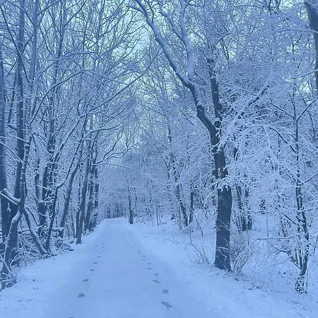 木屋 De Duinweg: Direct Aan Duin En Bos