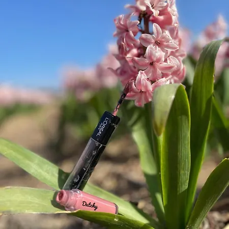 De Duinweg: Direct Aan Duin En Bos 木屋