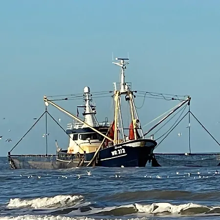 Alpehytte De Duinweg: Direct Aan Duin En Bos *