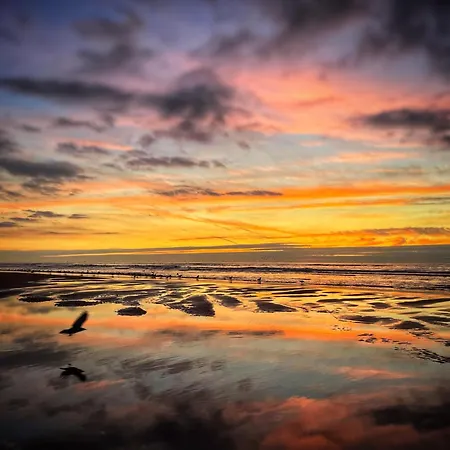 De Duinweg: Direct Aan Duin En Bos 木屋 *
