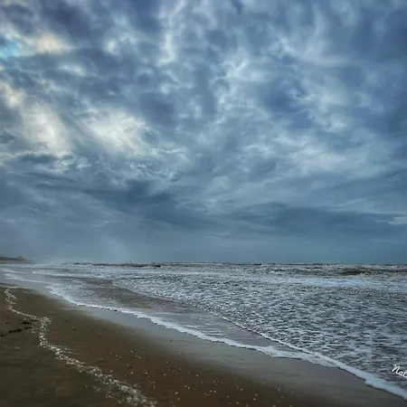 木屋 De Duinweg: Direct Aan Duin En Bos