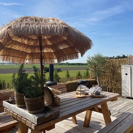 De Duinweg: Direct Aan Duin En Bos 诺德韦克