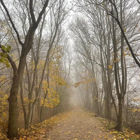 De Duinweg: Direct Aan Duin En Bos 木屋 诺德韦克