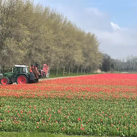 De Duinweg: Direct Aan Duin En Bos 诺德韦克