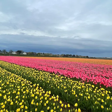 Alpehytte De Duinweg: Direct Aan Duin En Bos