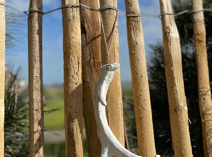 샬레 De Duinweg: Direct Aan Duin En Bos *