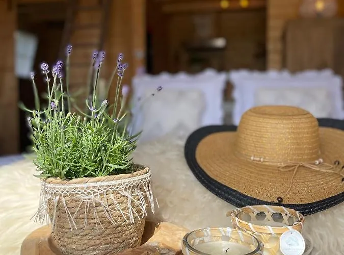 De Duinweg: Direct Aan Duin En Bos * 노르트베이크