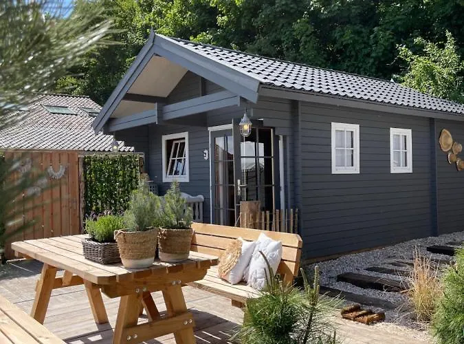 De Duinweg: Direct Aan Duin En Bos Noordwijk