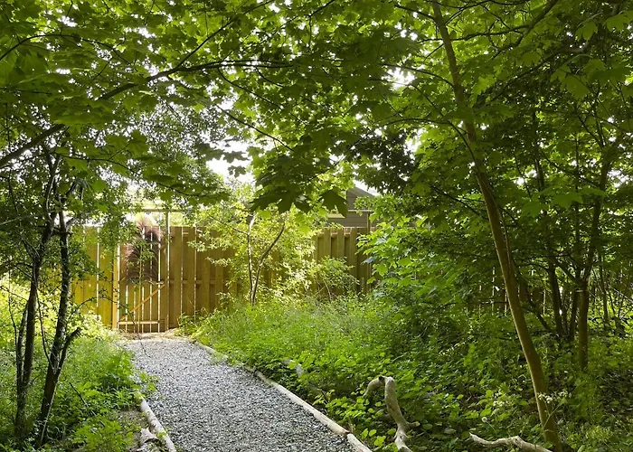 De Duinweg: Direct Aan Duin En Bos Alpehytte Noordwijk