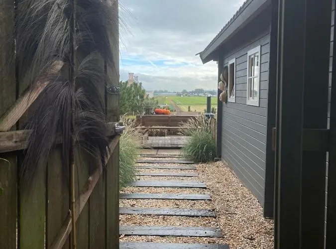 De Duinweg: Direct Aan Duin En Bos *