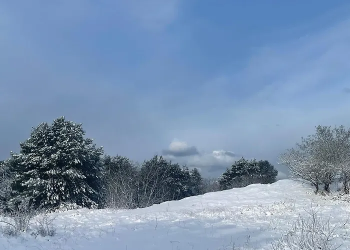 De Duinweg: Direct Aan Duin En Bos * 노르트베이크