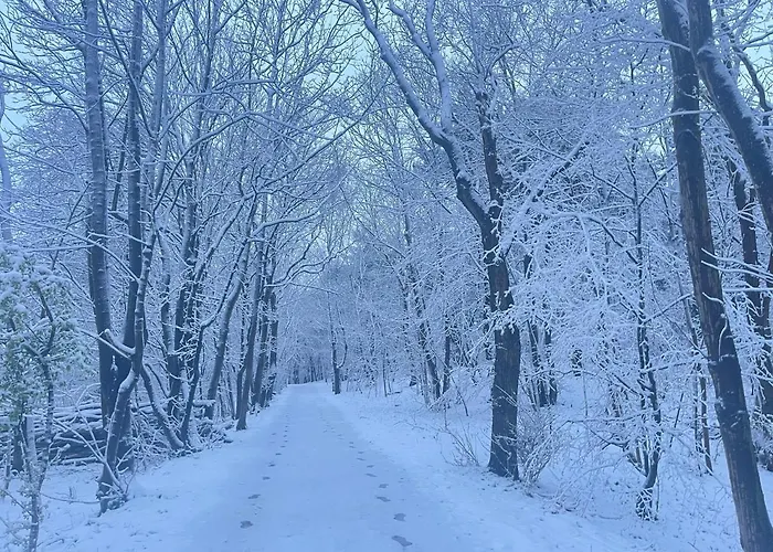 Alpehytte De Duinweg: Direct Aan Duin En Bos