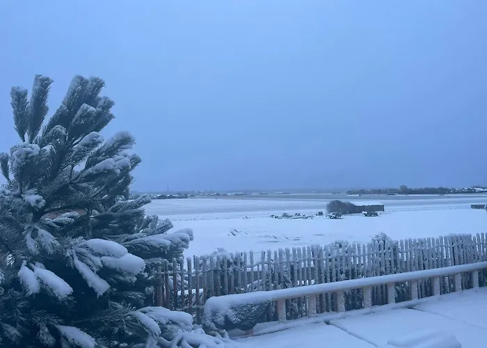 De Duinweg: Direct Aan Duin En Bos Noordwijk