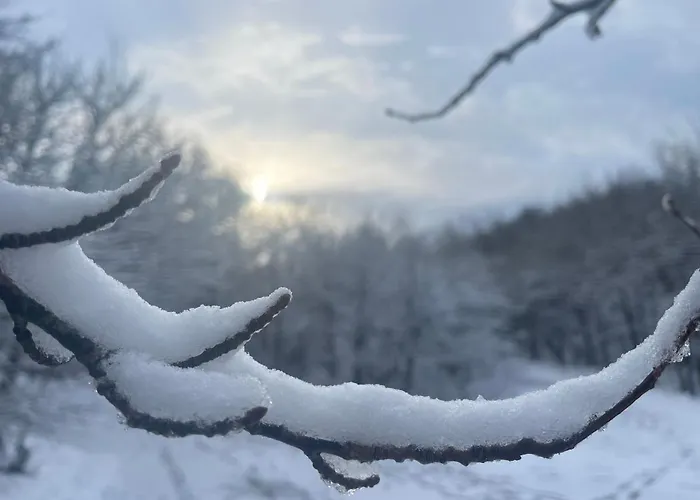 De Duinweg: Direct Aan Duin En Bos 샬레