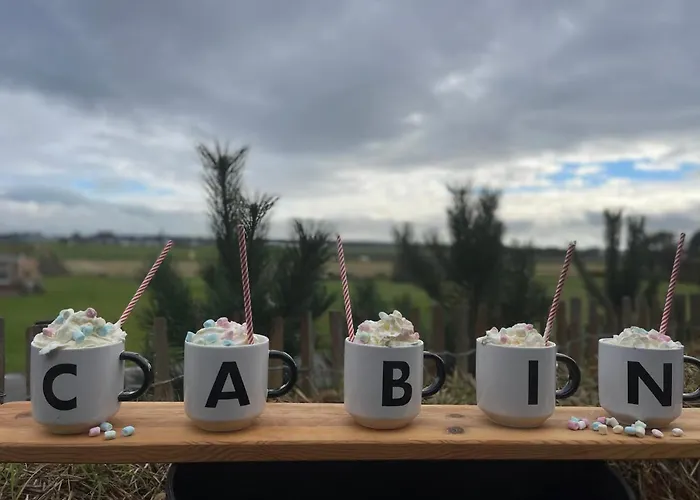 Chalet De Duinweg: Direct Aan Duin En Bos