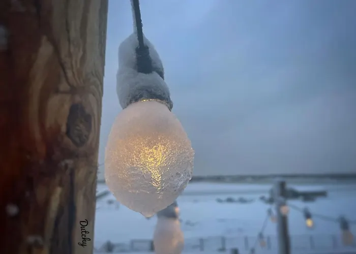 Alpehytte De Duinweg: Direct Aan Duin En Bos Noordwijk