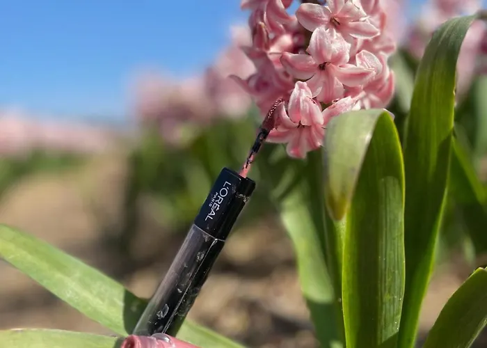 De Duinweg: Direct Aan Duin En Bos Chalet