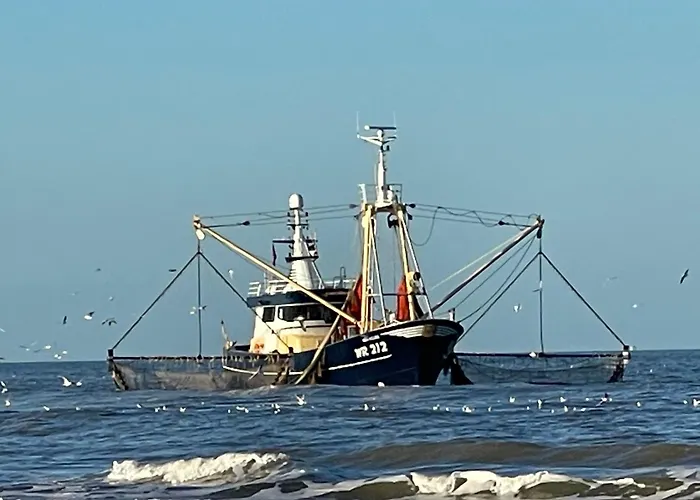 Alpehytte De Duinweg: Direct Aan Duin En Bos *