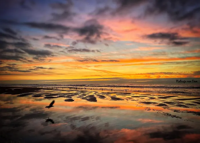 De Duinweg: Direct Aan Duin En Bos 샬레 *
