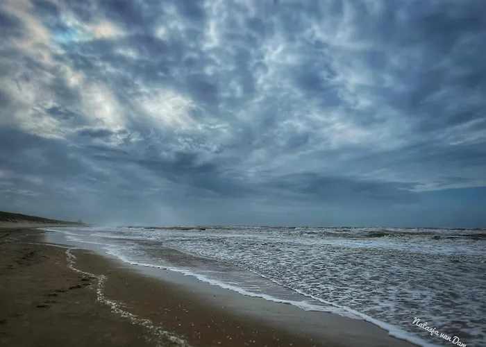 Alpehytte De Duinweg: Direct Aan Duin En Bos