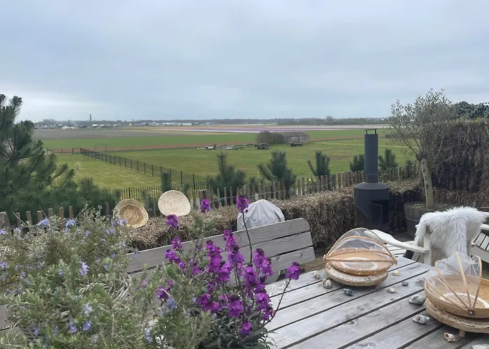 De Duinweg: Direct Aan Duin En Bos 샬레 노르트베이크