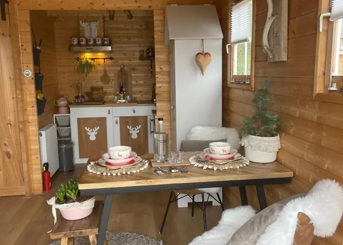 De Duinweg: Direct Aan Duin En Bos Chalet