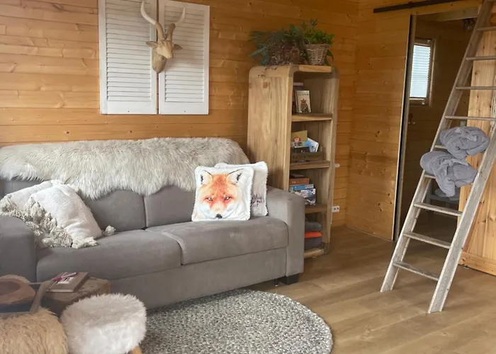 Alpehytte De Duinweg: Direct Aan Duin En Bos