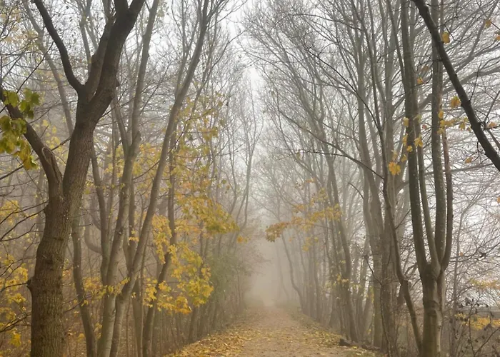 De Duinweg: Direct Aan Duin En Bos Chalet Noordwijk