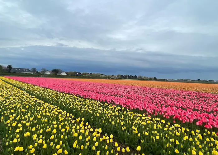 샬레 De Duinweg: Direct Aan Duin En Bos
