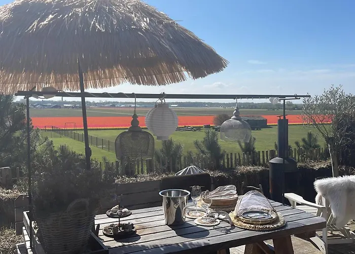 De Duinweg: Direct Aan Duin En Bos * Noordwijk