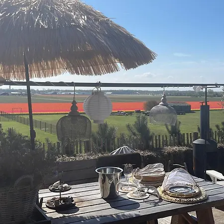 De Duinweg: Direct Aan Duin En Bos * Noordwijk